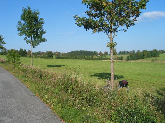 imm_7181_g.jpg