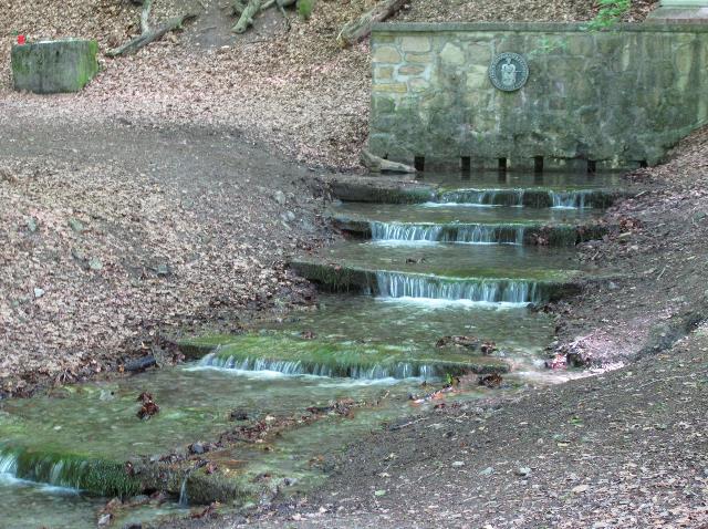 imm_9914_g.jpg