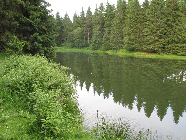 imn_0573_g.jpg
