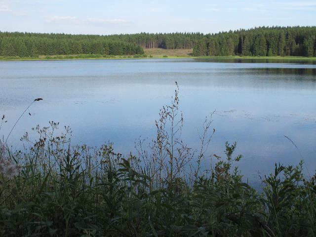 imn_0872_g.jpg