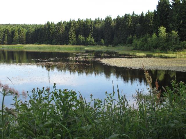 imn_0873_g.jpg