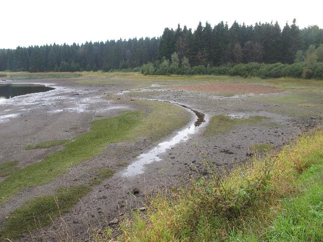 imn_3085_g.jpg