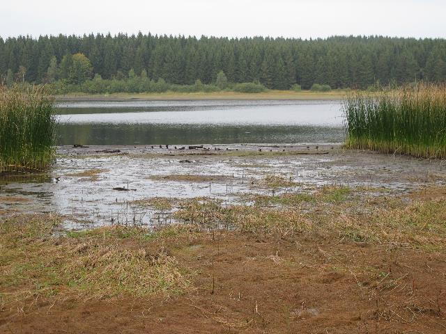 imn_3090_g.jpg
