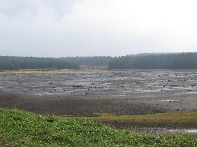 imn_3394_g.jpg