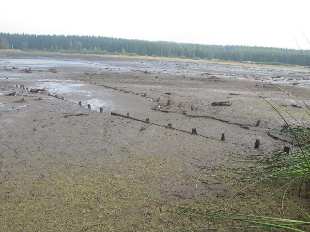 imn_3409_g.jpg