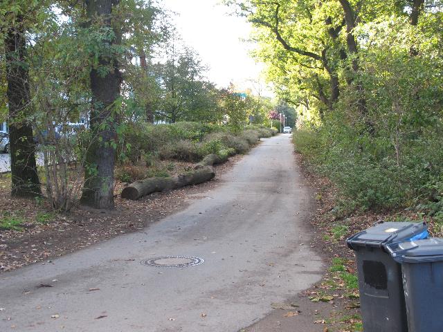 imn_3482_g.jpg