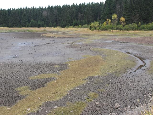 imn_3537_g.jpg