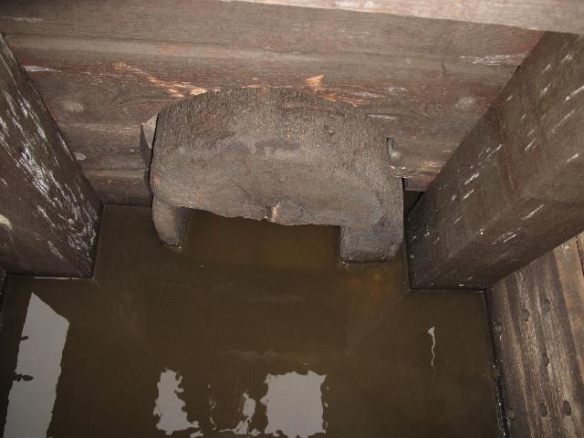 imn_3553_g.jpg