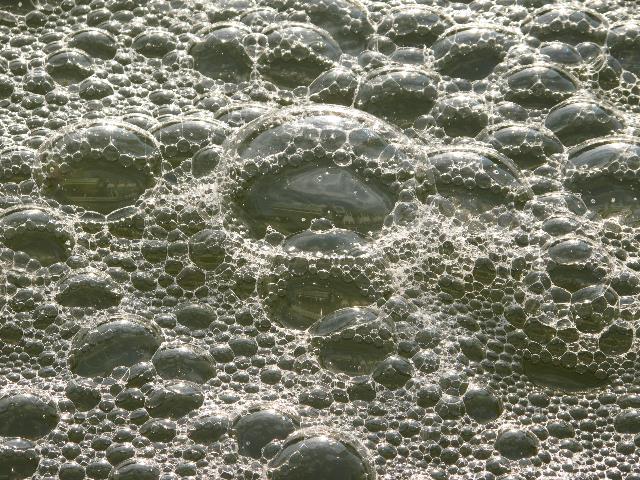 imn_7947_g.jpg