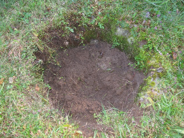 imn_8750_g.jpg