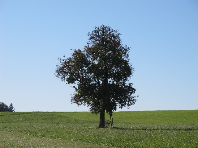 imn_8777_g.jpg