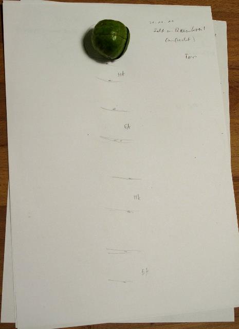imn_9468_g.jpg