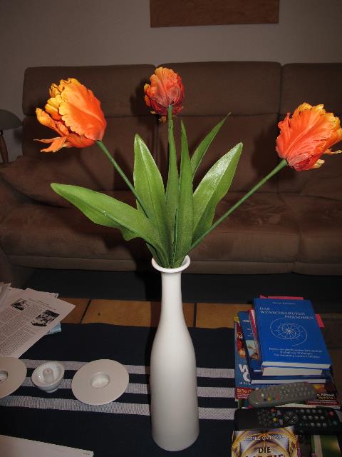 imn_9644_g.jpg