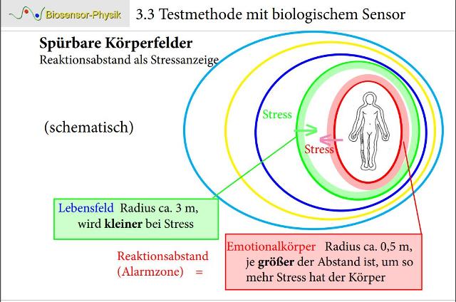 koerperfelder-002_g.jpg