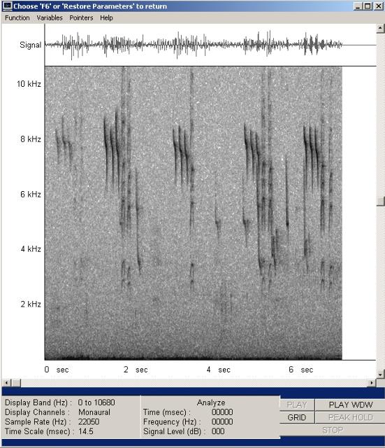 meise_b-mono22-001_g.jpg