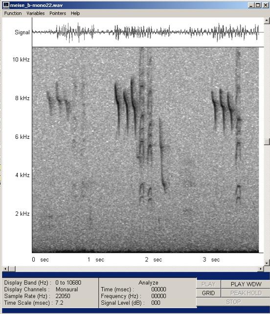 meise_b-mono22-002_g.jpg
