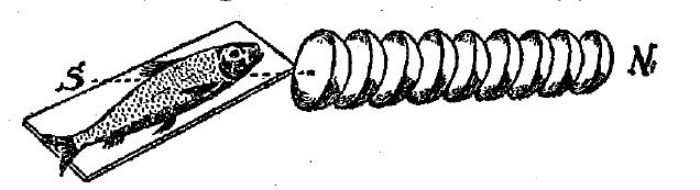schroedter-grenzwissenschaft-s-157-a.jpg
